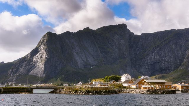 Reine